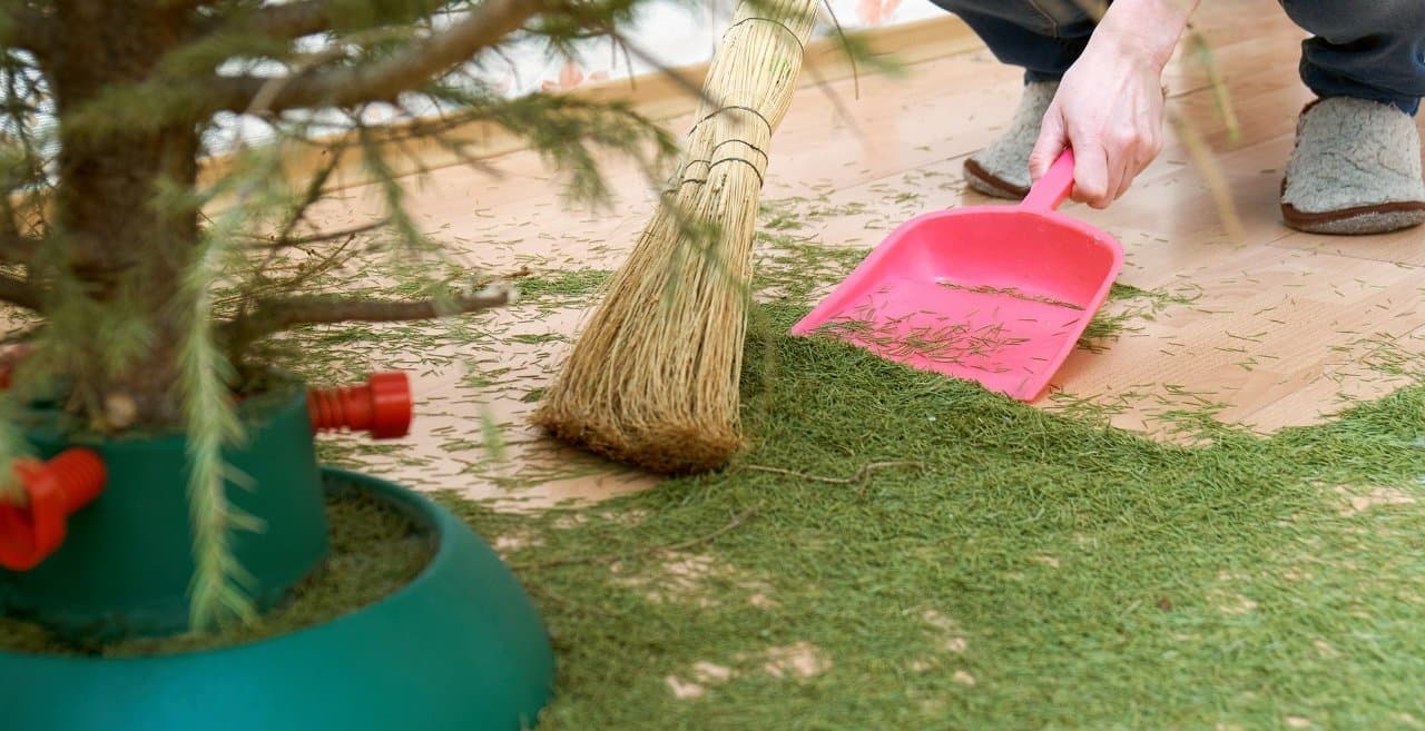 120cm - CHOINKA NA PNIU SOSNA DIAMENTOWA "Snow Pearl"