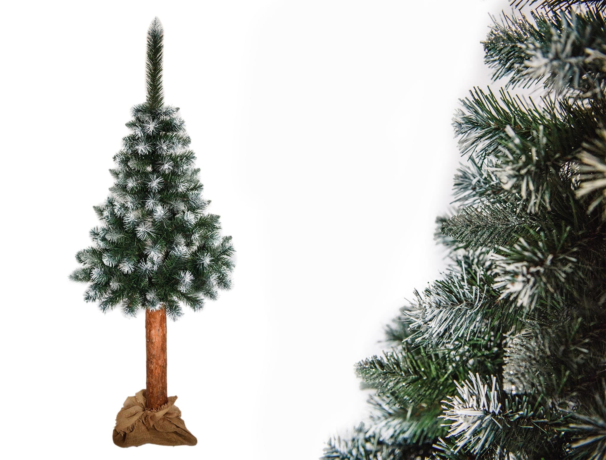 220cm - CHOINKA NA PNIU SOSNA DIAMENTOWA "Snow Queen"